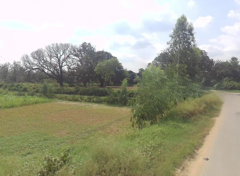 Budhana, Uttar Pradesh 251309, India