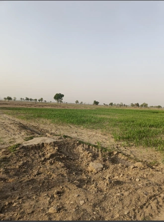 5RJ9+PXW, Palaud-1, Chhattisgarh 492101, India