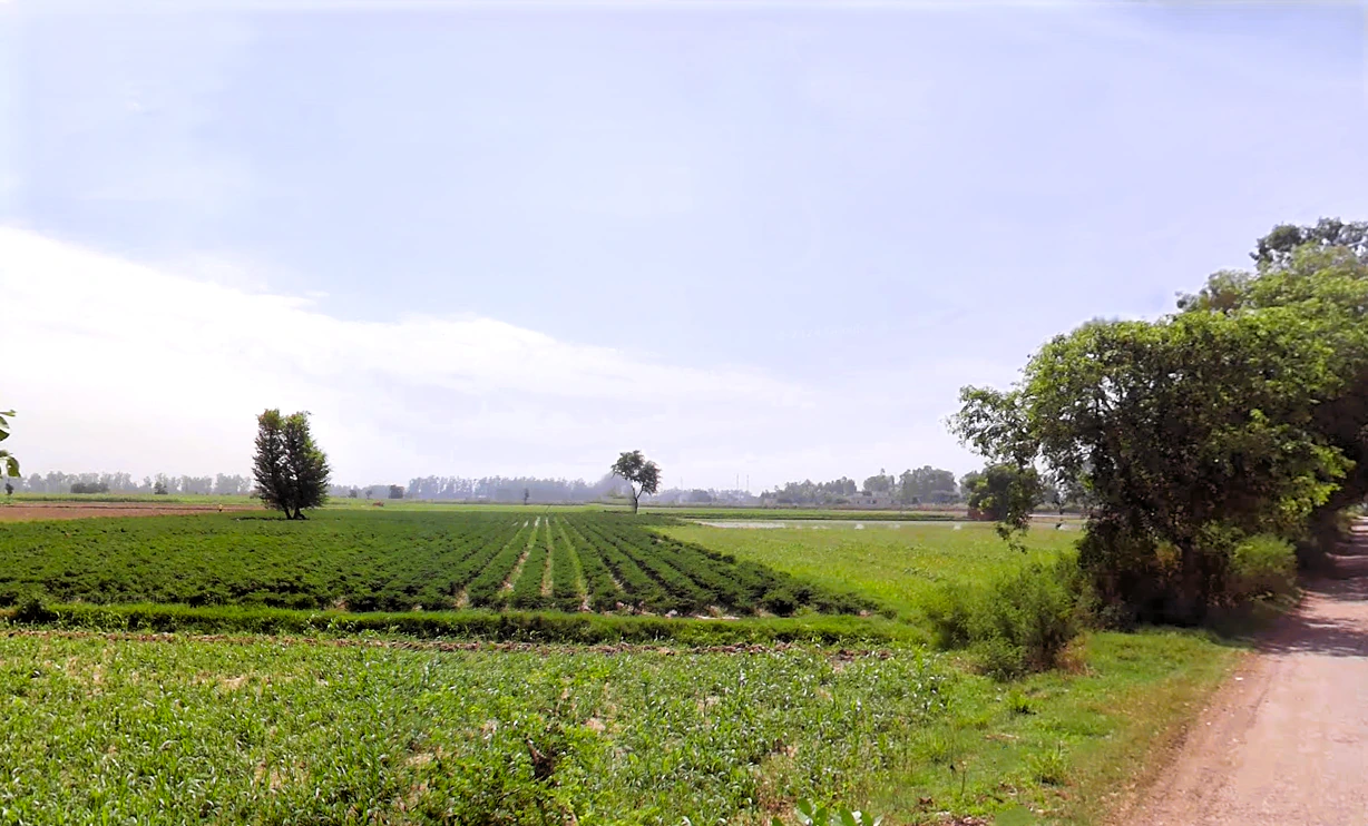 Durana, Haryana, India