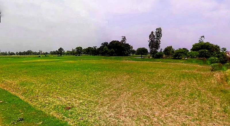 Chhata, Uttar Pradesh 281401, India preview 2