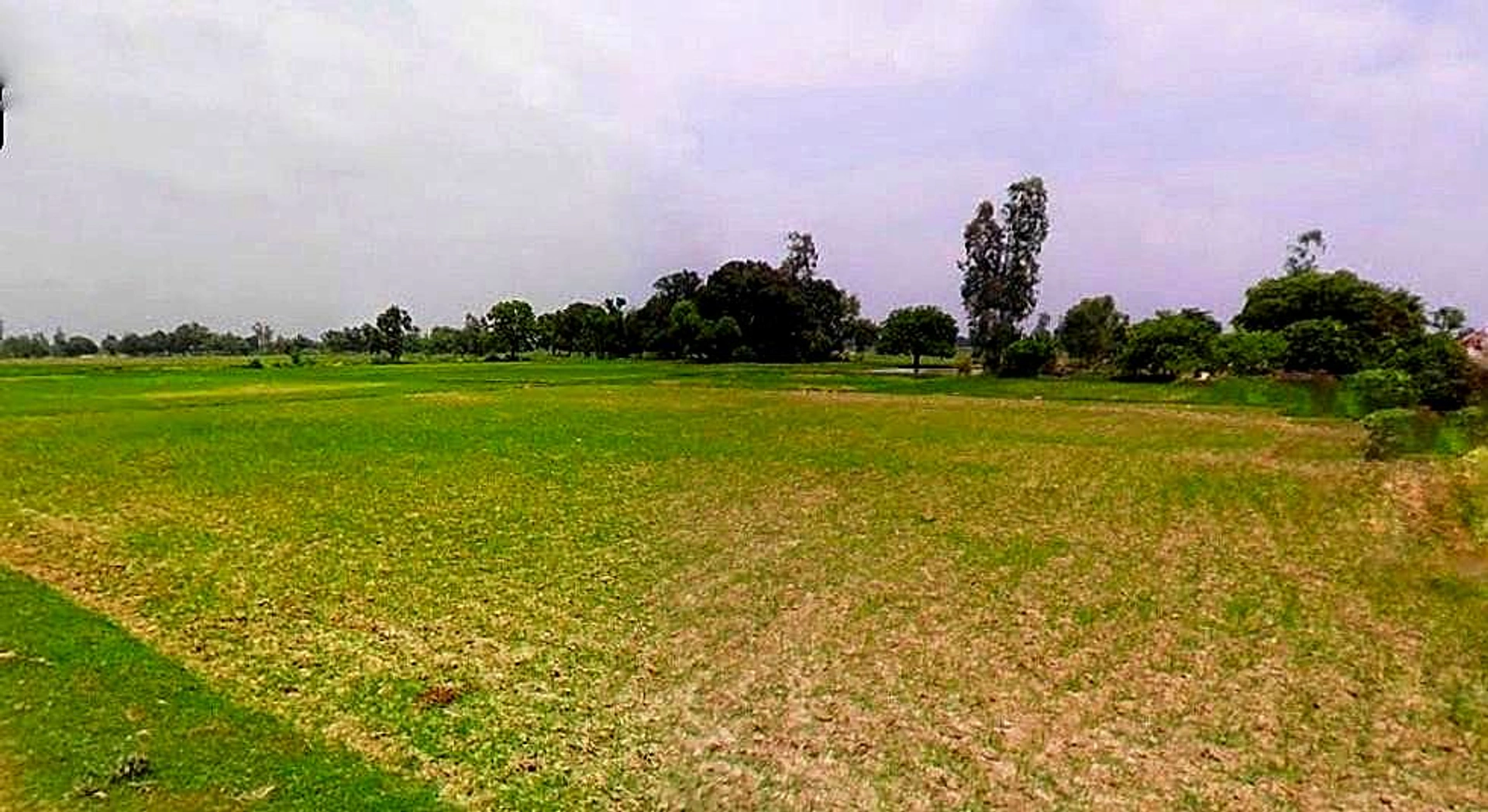 Chhata, Uttar Pradesh 281401, India