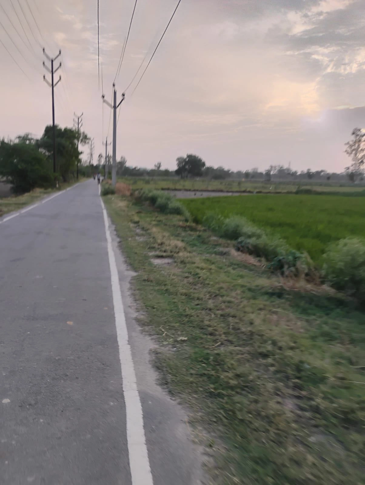 Bishambhara, Uttar Pradesh 281404, India