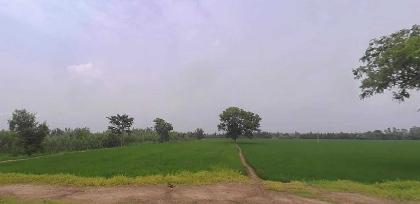 Dhanaura, Uttar Pradesh 244231, India