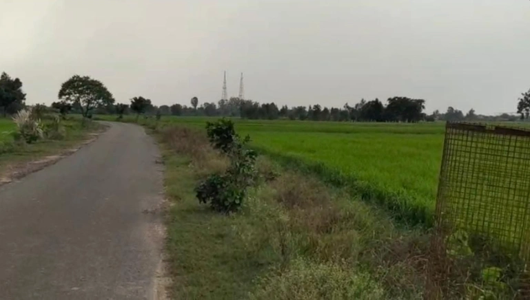 Nigoha, Lucknow, Uttar Pradesh 226302, India preview 2