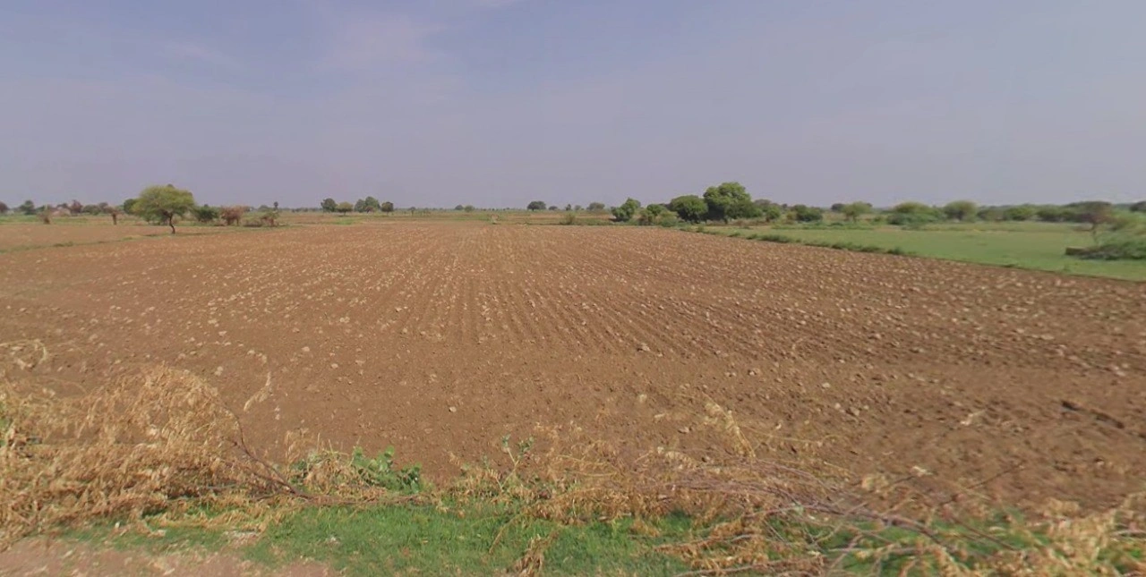 Barnagar, Madhya Pradesh 456771, India