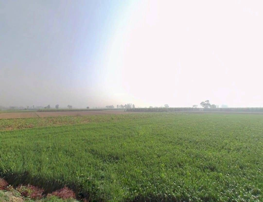 Burja, Rajasthan 301001, India