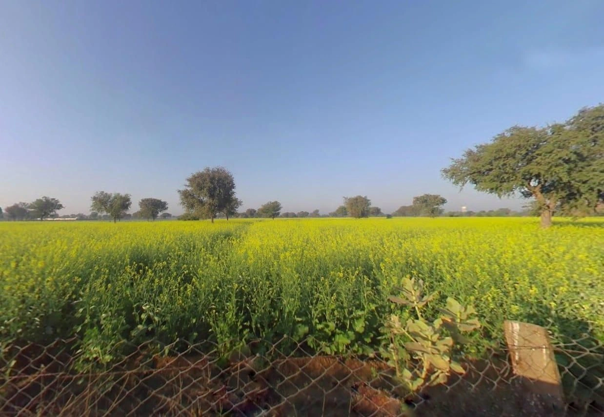 Nahariya ka bass, PV64+J4X, Jai Anandpura, Rajasthan 303903, India preview 2