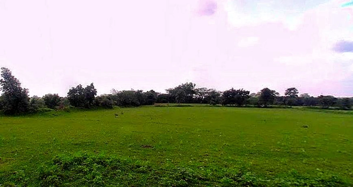 Jhusi, Uttar Pradesh 211019, India