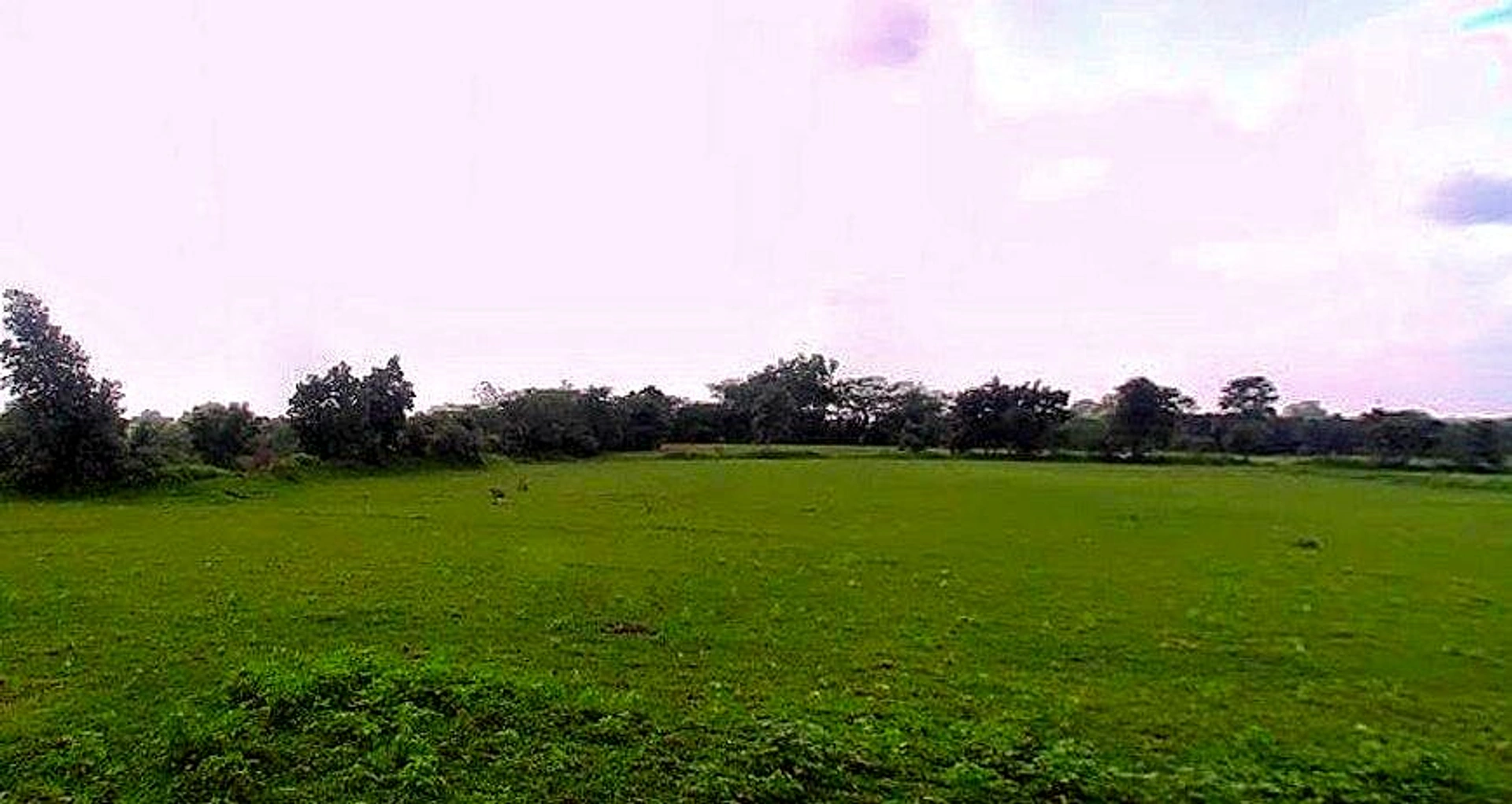 Jhusi, Uttar Pradesh 211019, India