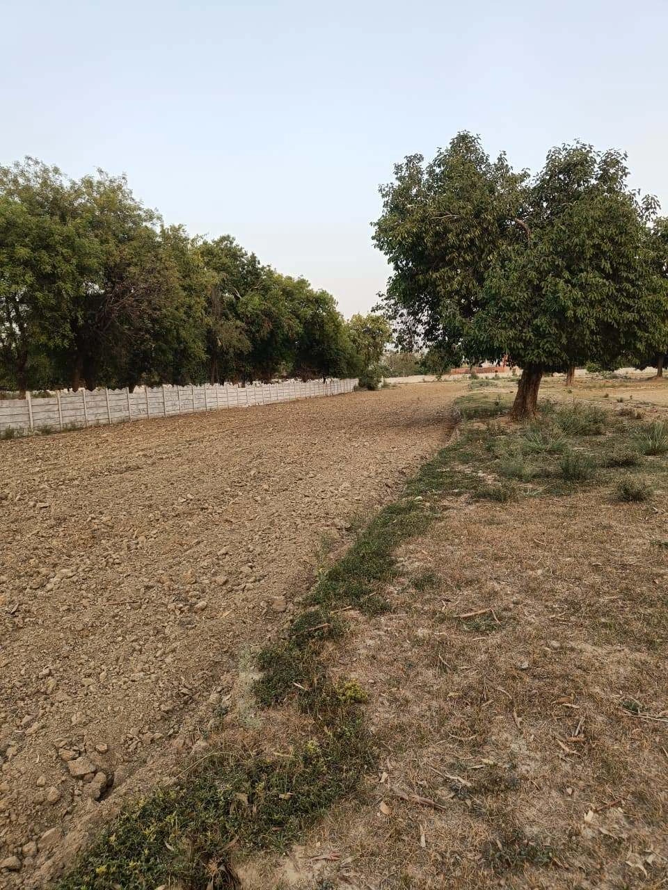 Tentigaon, Uttar Pradesh, India