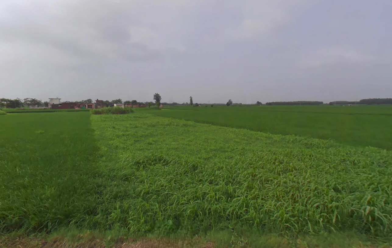 Nahan, Himachal Pradesh 173001, India