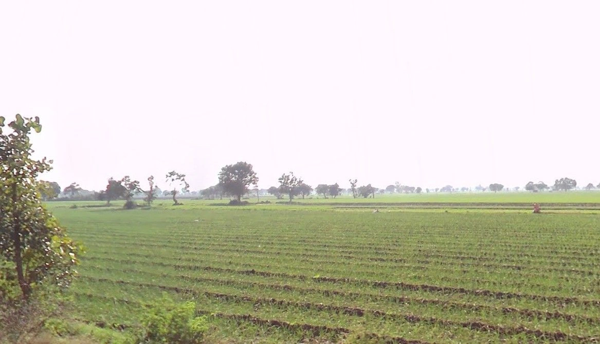 Nichroli, Madhya Pradesh 475661, India preview 2