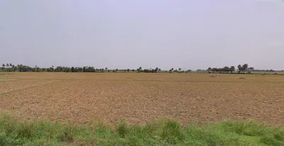 Rambha, Odisha 761028, India preview 2