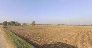 Adhana, Gujarat 384441, India preview 2