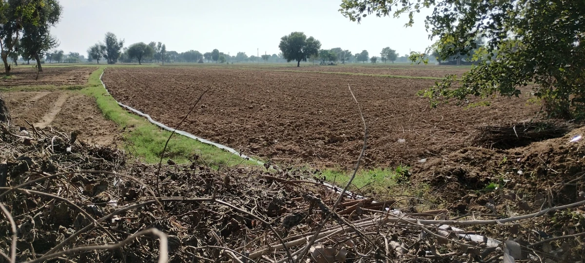FWR6+JJ5, Gahankar, Rajasthan 301021, India