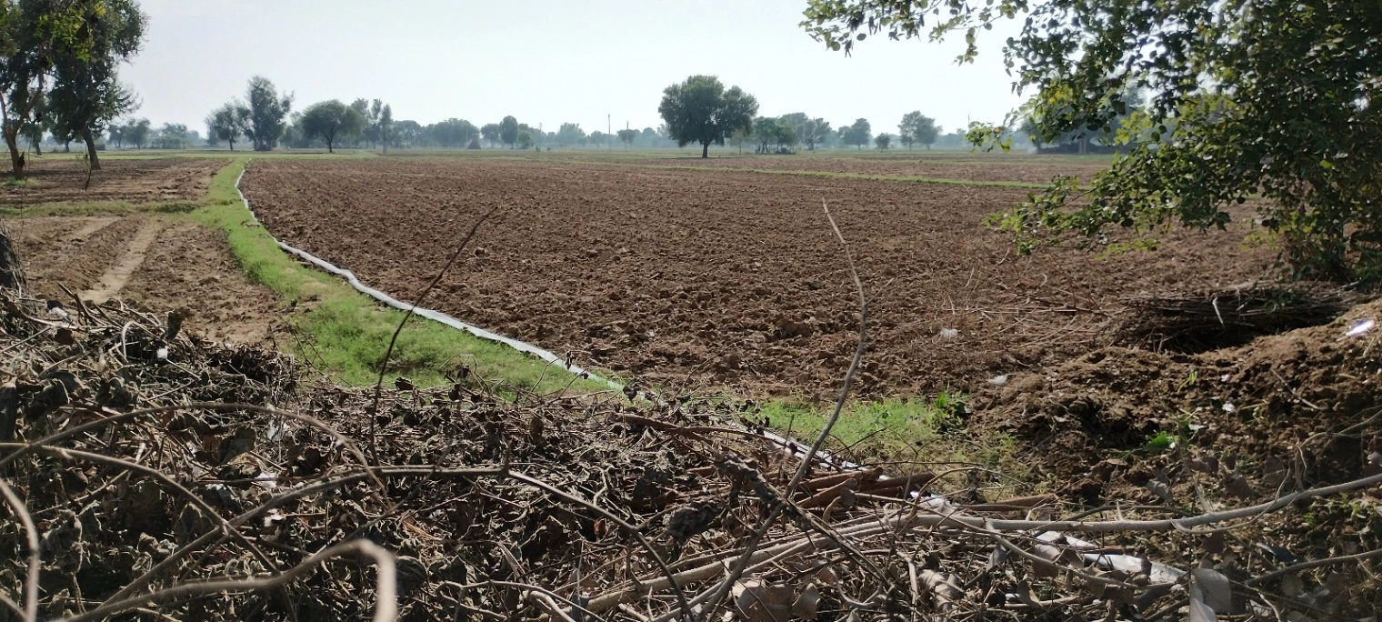 FWR6+JJ5, Gahankar, Rajasthan 301021, India