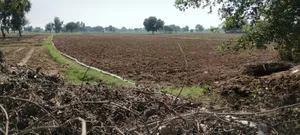 FWR6+JJ5, Gahankar, Rajasthan 301021, India preview 4