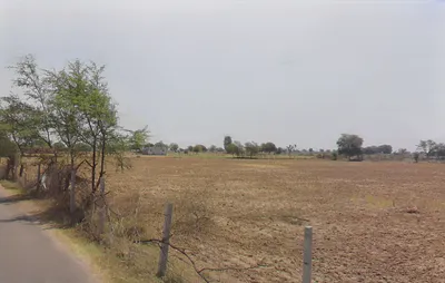 Gunsi, Rajasthan 304021, India preview 2