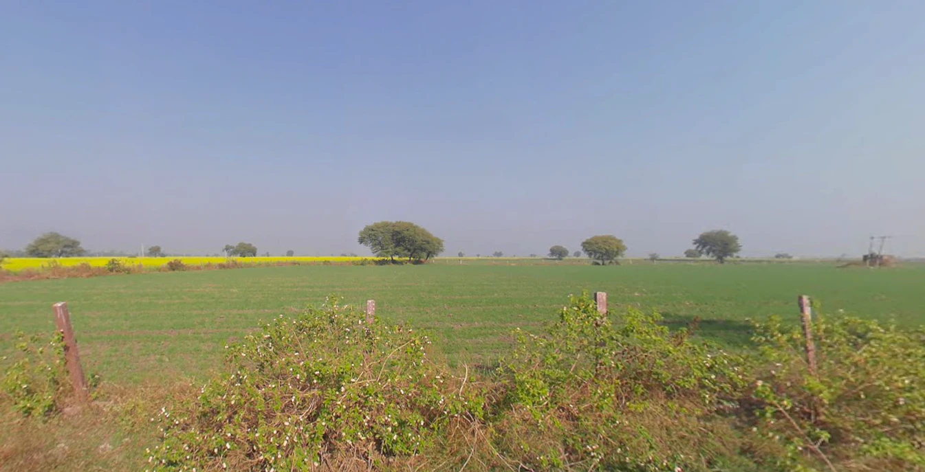 Chidwai, Rajasthan 301026, India