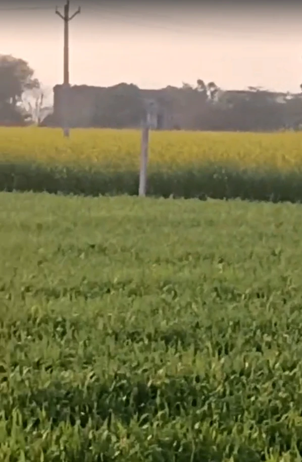 M32Q+R66, Bhadaka, Rajasthan 321204, India