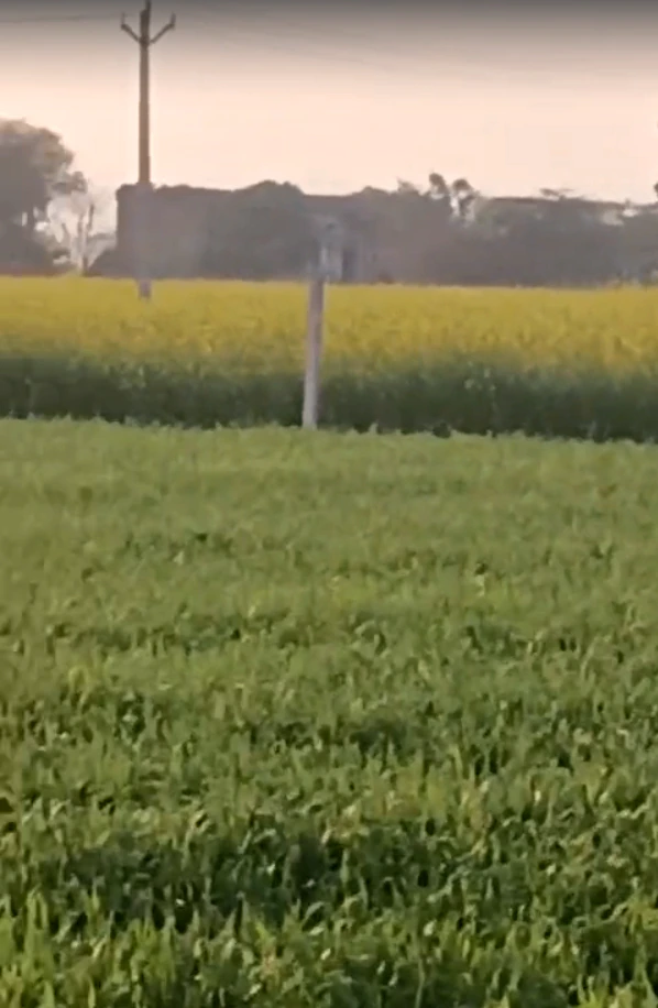 M32Q+R66, Bhadaka, Rajasthan 321204, India