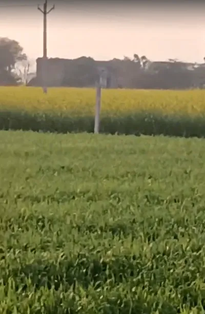 M32Q+R66, Bhadaka, Rajasthan 321204, India preview 2