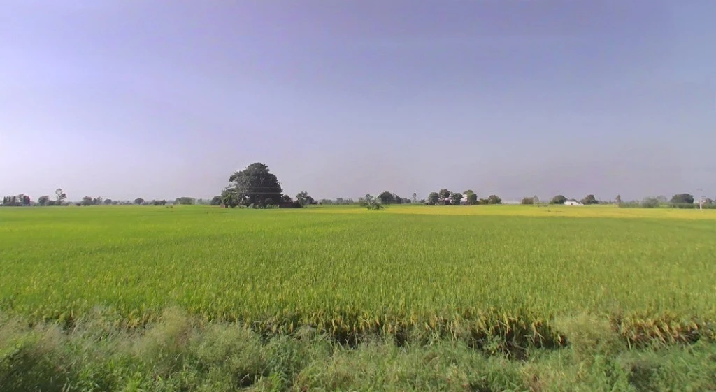 Jhalap, Chhattisgarh 493551, India