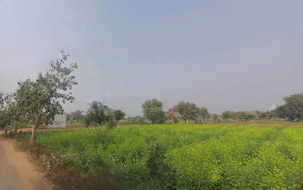 Untwal, Rajasthan 301028, India preview 3