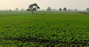 Kopal, Bhopal, Madhya Pradesh 462044, India preview 2