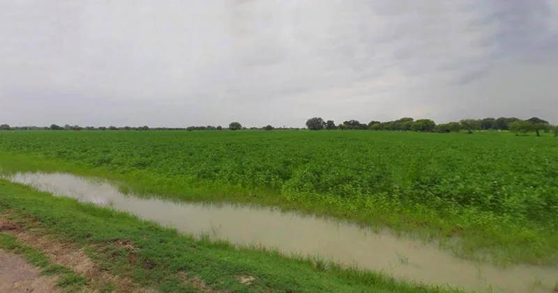 Sri Ganganagar, Rajasthan, India preview 2