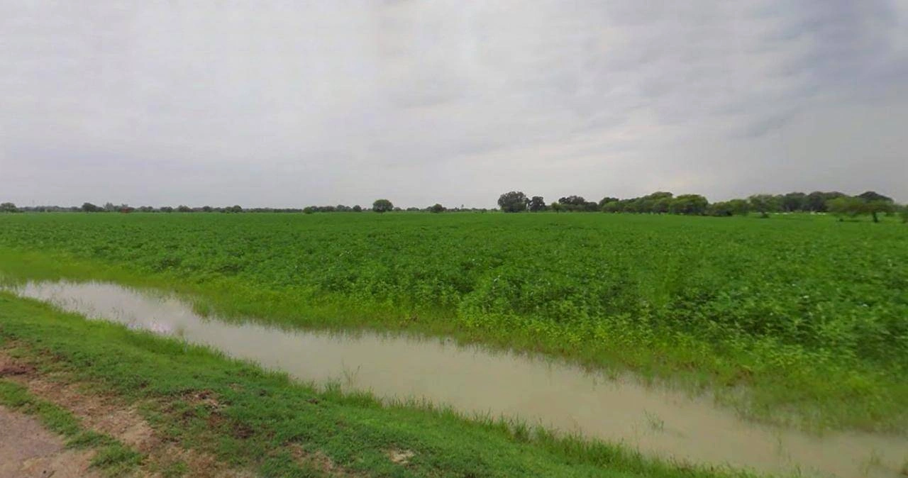 Sri Ganganagar, Rajasthan, India