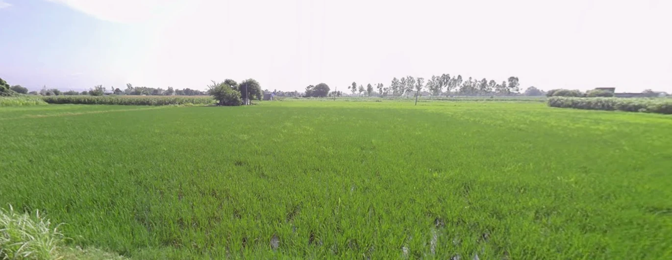 Behram, Punjab 144504, India