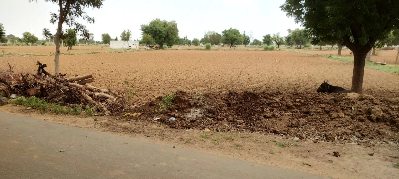Bai Ka Bas, Rajasthan 301001, India