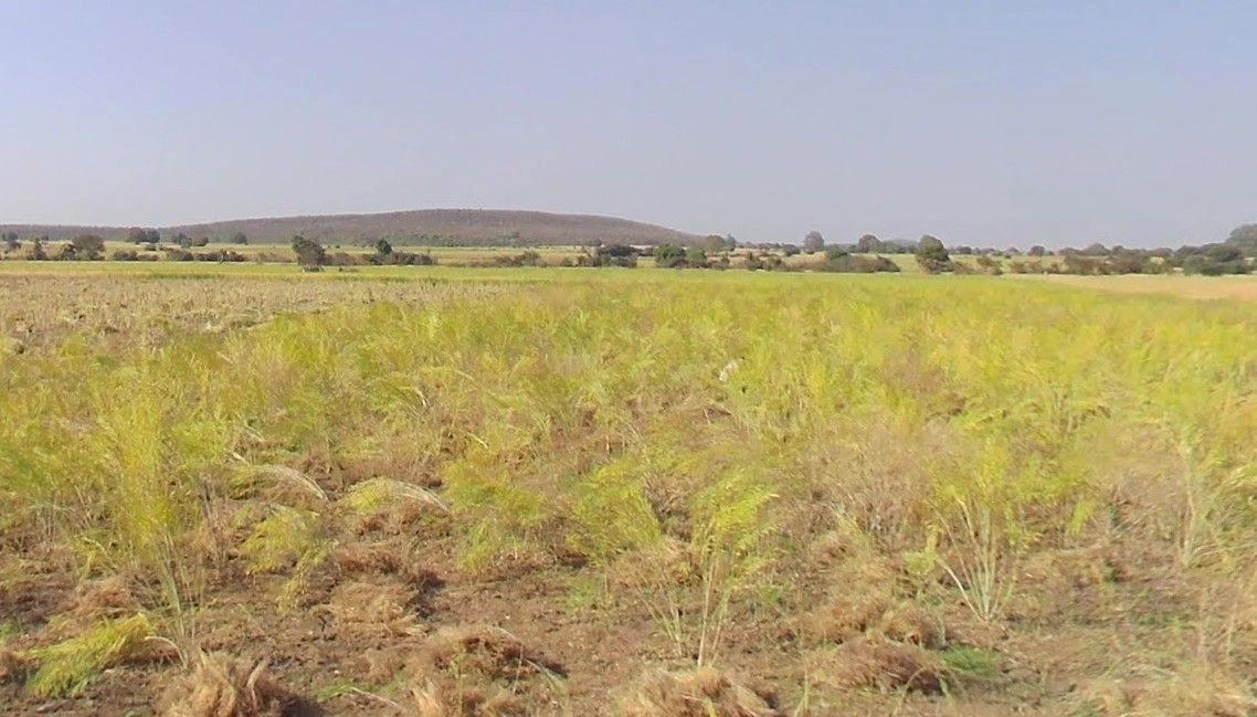 Ghatiya, Madhya Pradesh 456550, India