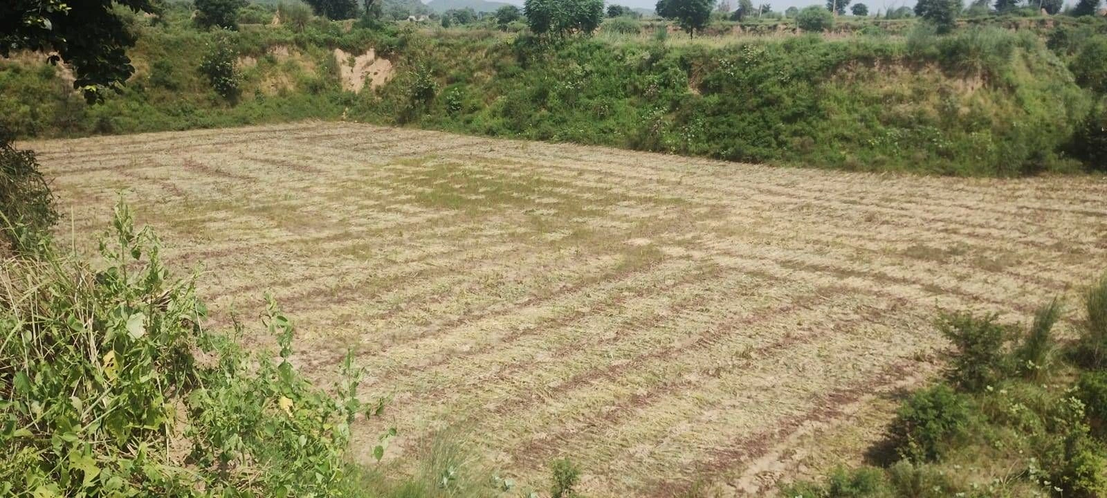Pinan, Rajasthan, India preview 3