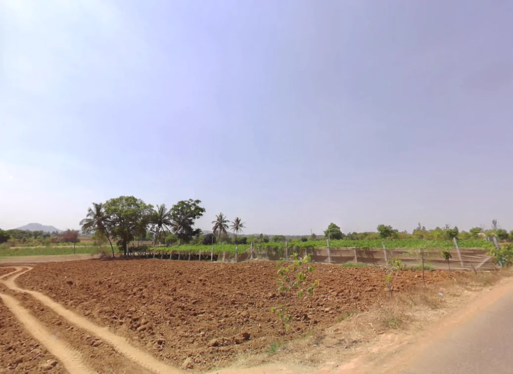 Gangrekaluve, Karnataka, India preview 4