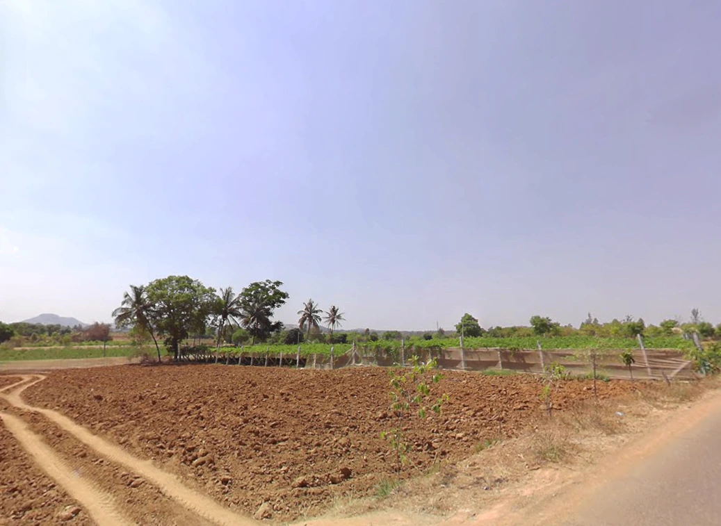 Gangrekaluve, Karnataka, India