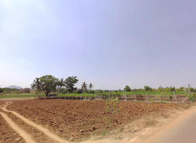 Gangrekaluve, Karnataka, India preview 4