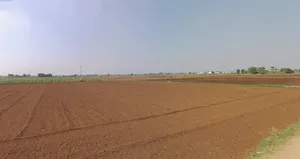 Mankol, Gujarat, India preview 3