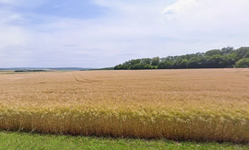 Bamhori, Madhya Pradesh 464551, India preview 2