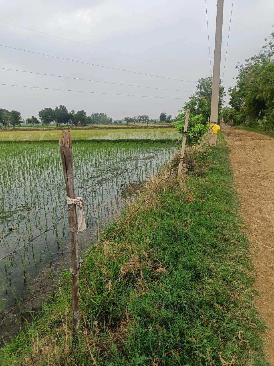 Bukharari, Mathura, Uttar Pradesh, India