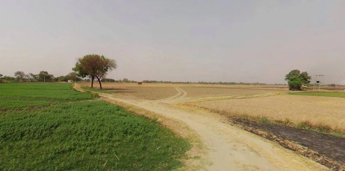 Rewari, Haryana 123401, India
