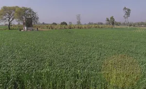 Mawana - Phalauda Rd, Mawana, Uttar Pradesh 250401, India preview 3