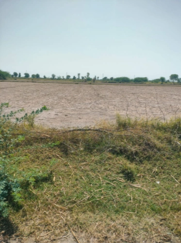 JGGX+PFG, Jaipur, Sultaniya, Rajasthan 303005, India