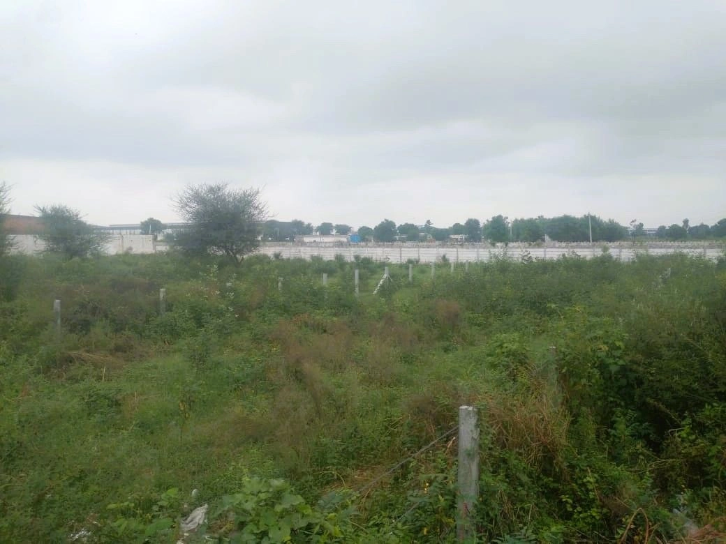 Farukh Nagar, Haryana 122506, India