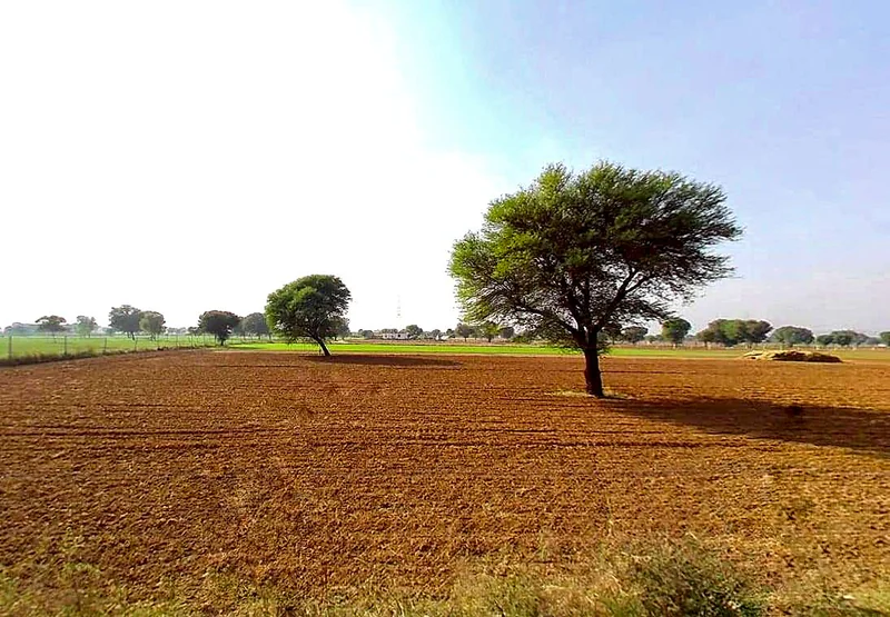 303701, Chatarpura Rd, Keshar Vihar, Jaipur, Chatarpura, Rajasthan 303701, India preview 2