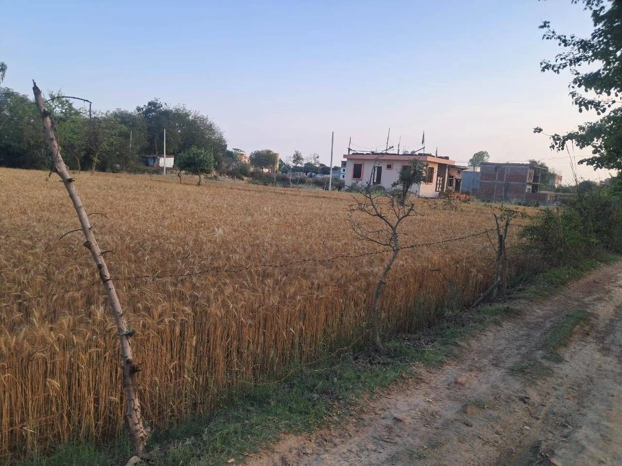 5VQG+7W5, Ghatwada, Rajasthan, India preview 3