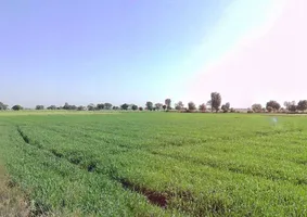 FJJF+W3 Dadar, Rajasthan, India preview 2