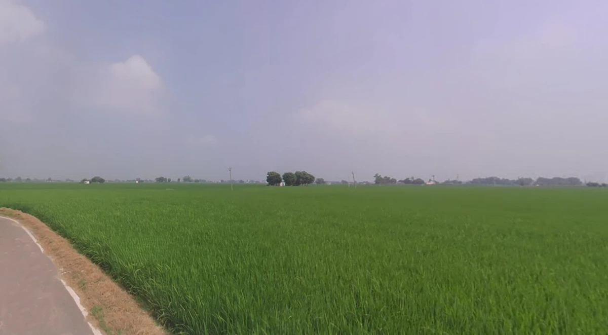 9X6C+QJG, Dalod, Gujarat 382130, India