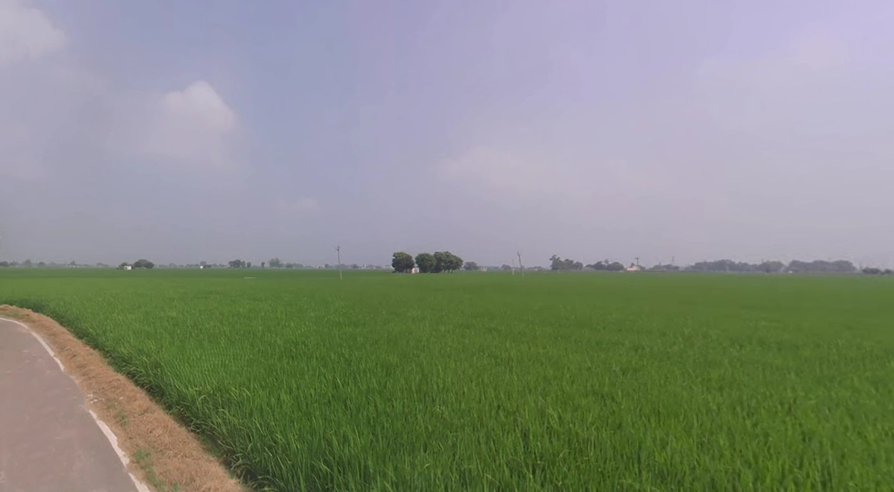 9X6C+QJG, Dalod, Gujarat 382130, India